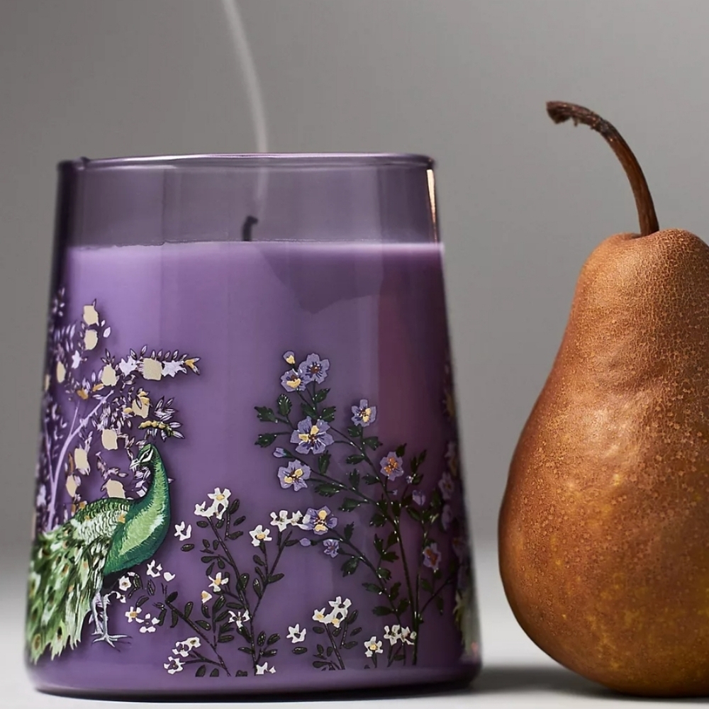 ♥️BUY 2 GET 1 FREE Getaway Woody Apple Blossom & Amber Boxed Candle, Retail $34 - Picture 1 of 10